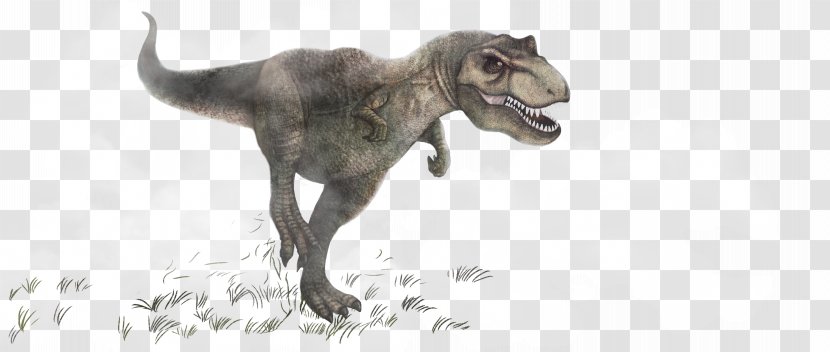 Tyrannosaurus Dinosaur Triceratops Carnivore - Resource Transparent PNG