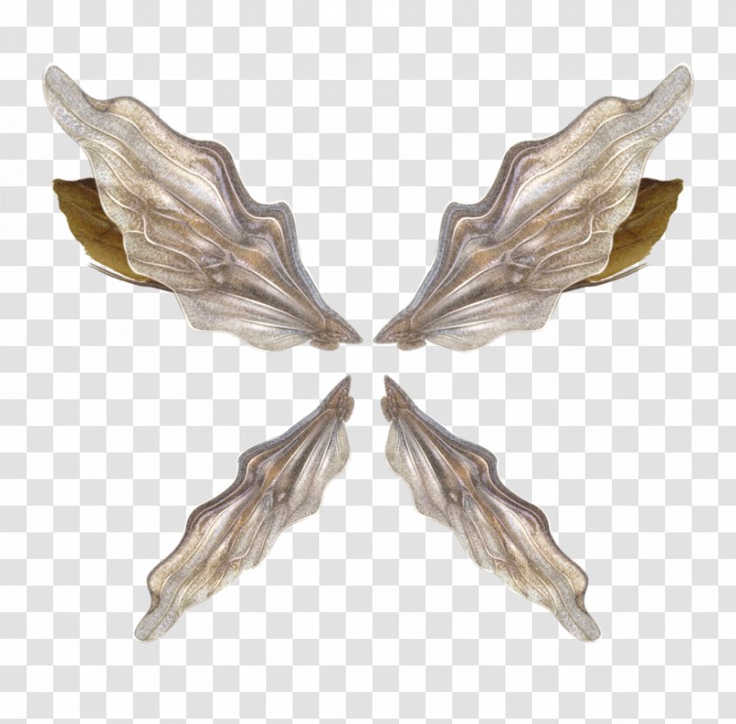 Wing Download Clip Art - Information - Feather Transparent PNG