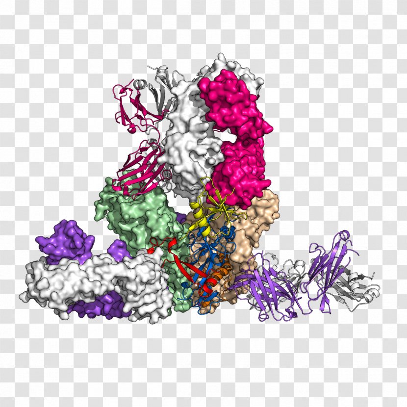 Antibody Glycoprotein Ebola Virus Disease - Pollinator - Biomedicine Transparent PNG