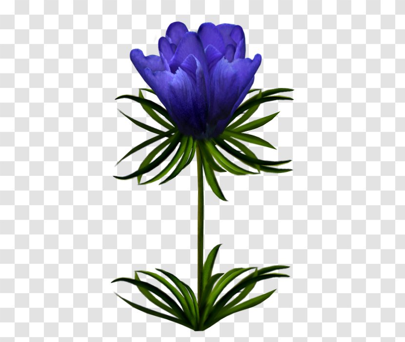 Cut Flowers Plant Stem Wildflower - Vowel - 花朵 Transparent PNG