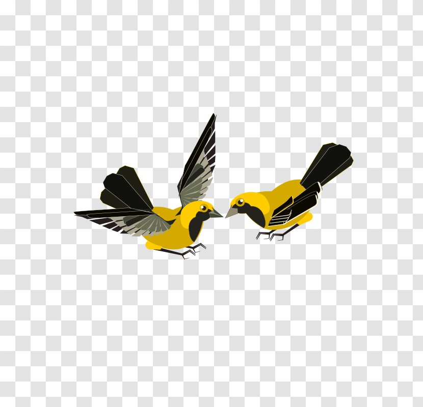 Clip Art Finches Flight Bird Vector Graphics - Feather - Aves Pennant Transparent PNG