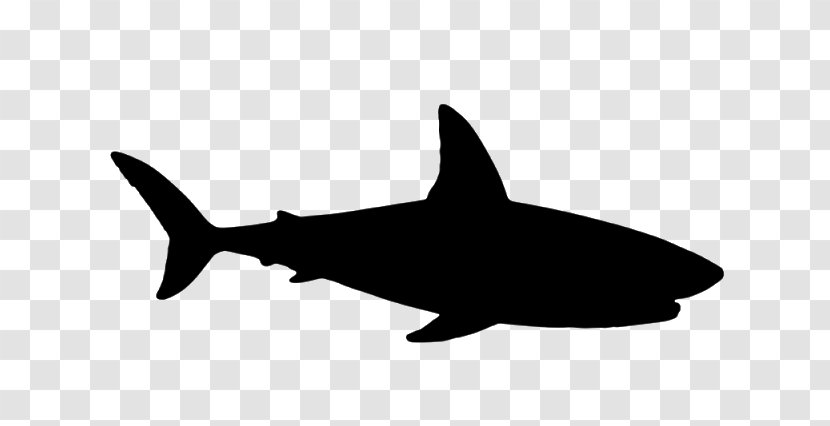 Requiem Sharks Vector Graphics Illustration Image - Royaltyfree - Shark Transparent PNG