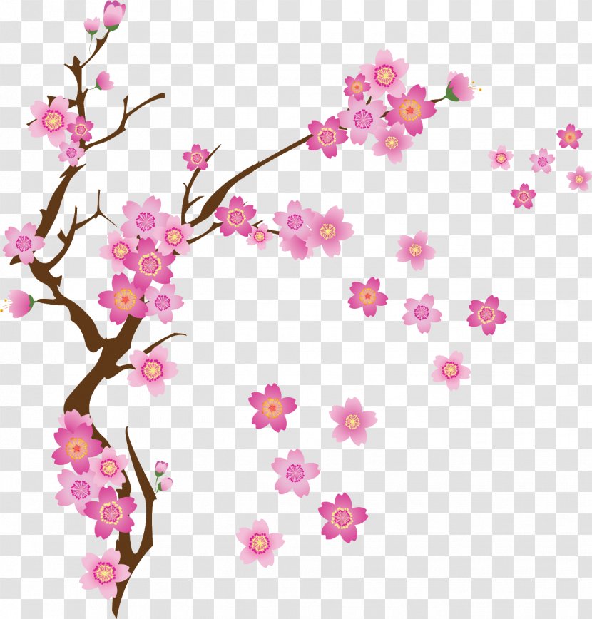 Cherry Blossom Drawing - Tree - Plum Transparent PNG