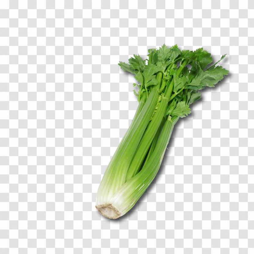 Celeriac Celery Remoulade Vegetable Fennel - Plant Stem - Dragon Ball Transparent PNG