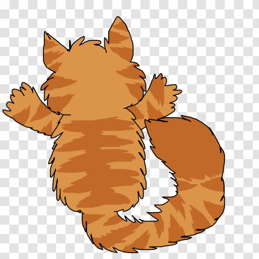 Whiskers Tiger Cat Red Fox Dog - Tabby Transparent PNG
