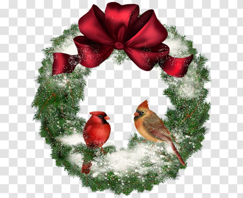 Bird Christmas Wreath Clip Art - Pine Family - Gold Transparent PNG