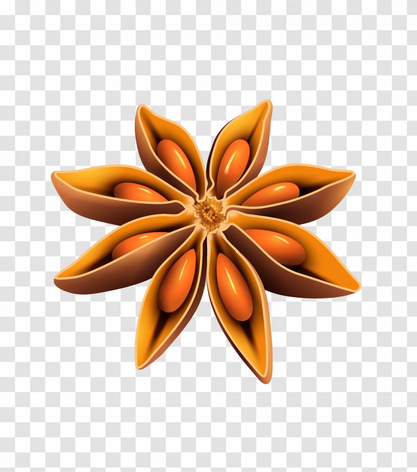Belarusians Ornament Art - Floral Design - Simple Coffee Star Anise Transparent PNG