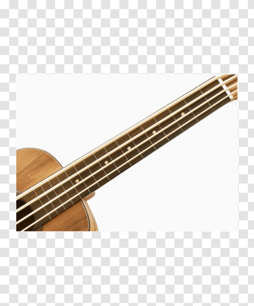 Bass Guitar Acoustic Cuatro Tiple Acoustic-electric - Tree Transparent PNG