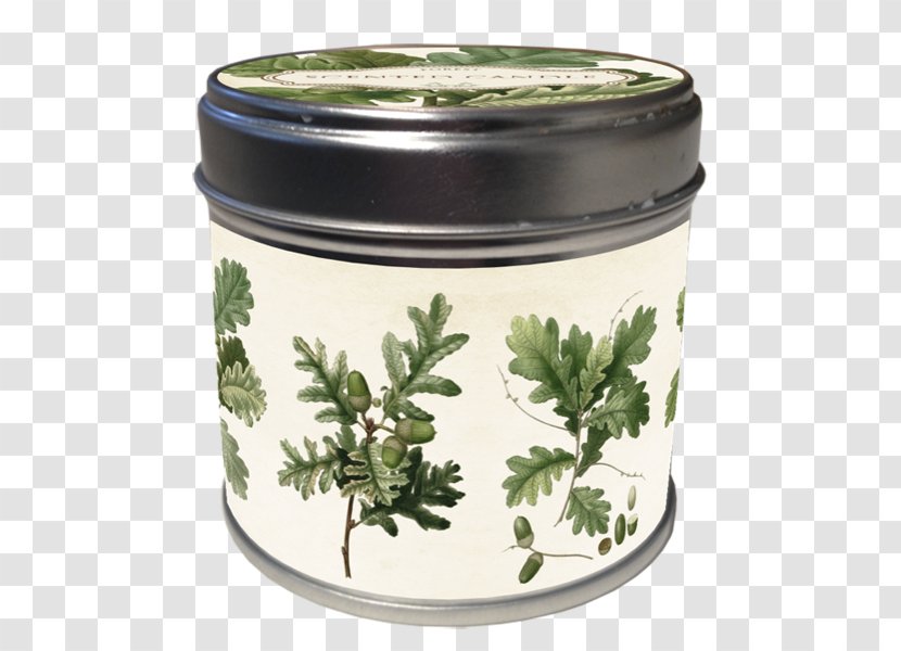 Candle Light Steariini Poster Stearin - Herb Transparent PNG