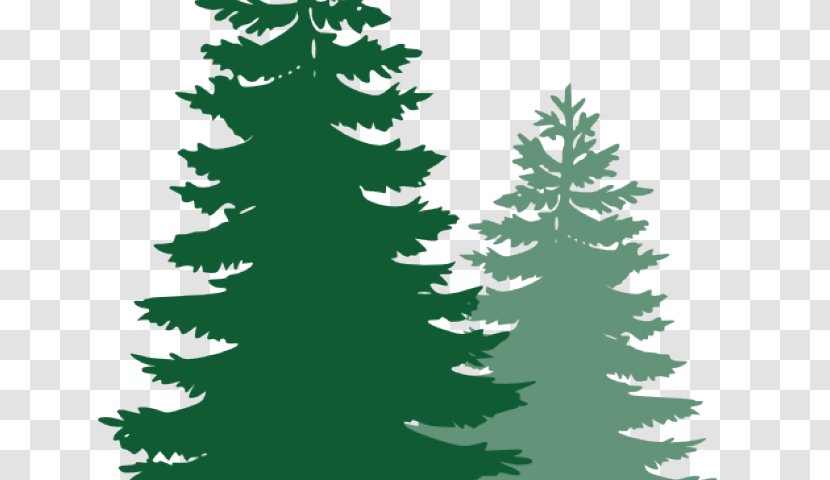 Pine Clip Art Fir Tree - Leaf - 401k Cartoons Transparent PNG