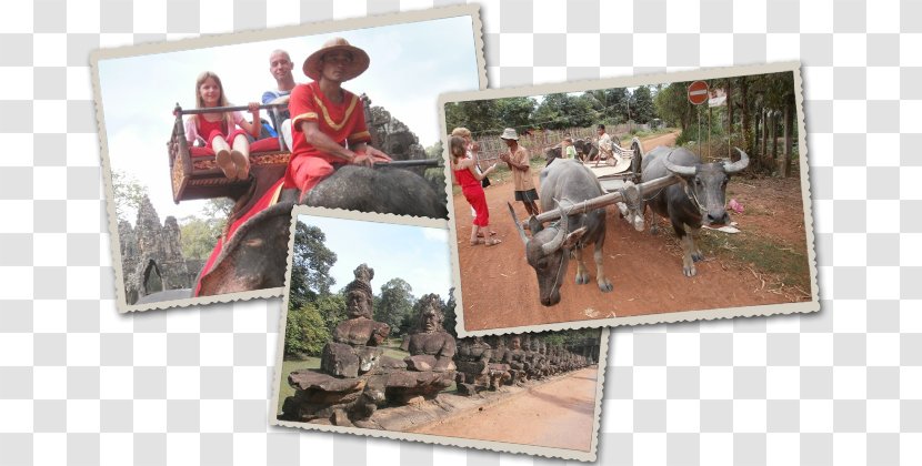 Recreation - Angkor Wat Transparent PNG