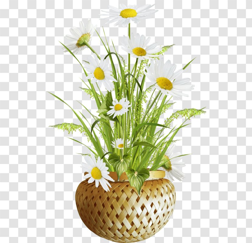 Clip Art Image Flowerpot Vase - Artificial Flower - April Daisy Transparent PNG