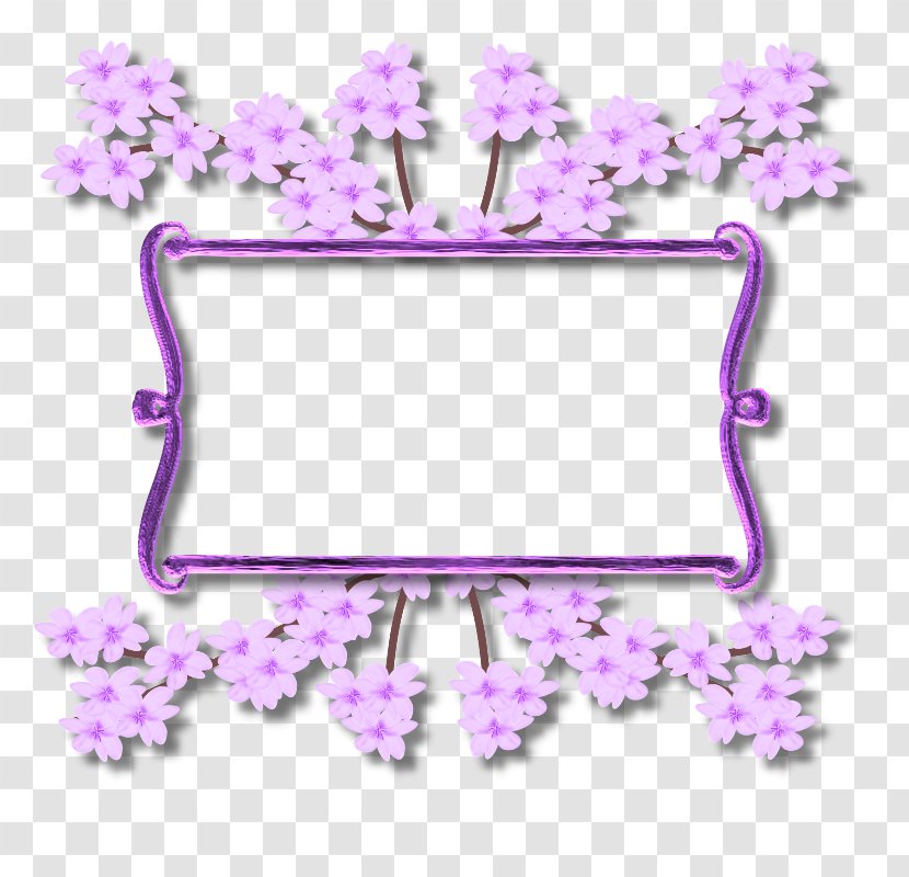 Clip Art - Lilac - Purple Transparent PNG