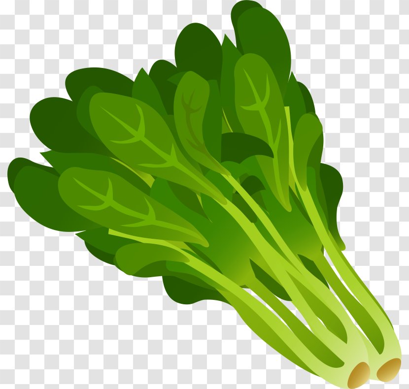 Spinach Leaf Vegetable Clip Art - Spring Greens - Cliparts Transparent PNG