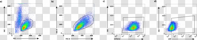 Cell Culture In Vitro Technology - International Genetically Engineered Machine Transparent PNG