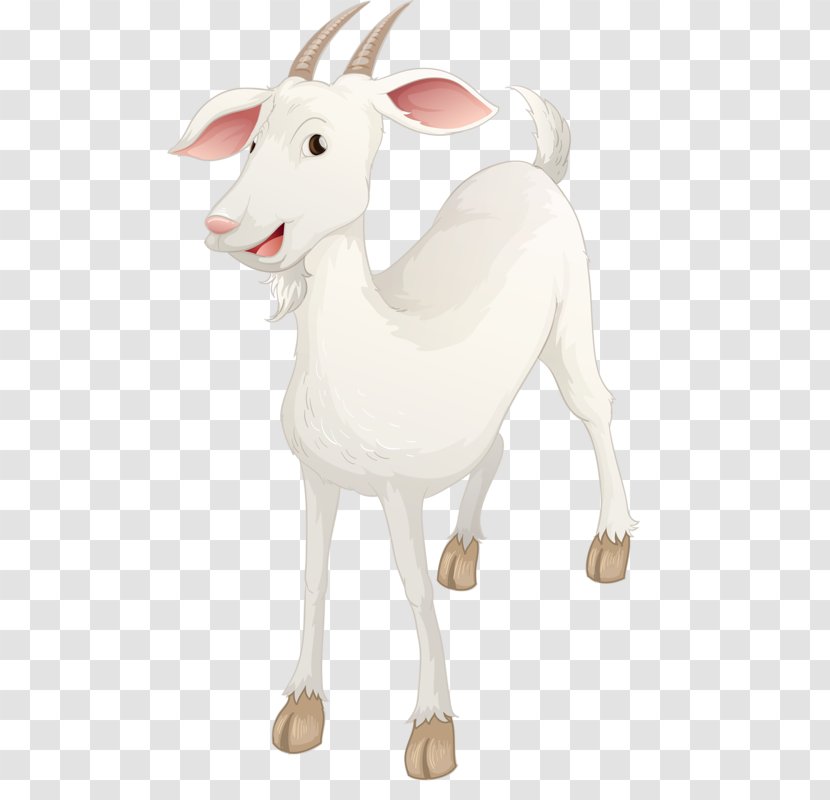 Sheep Goat Illustration - Antelope - White Transparent PNG