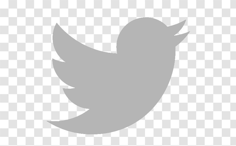Social Media Logo - Bird Transparent PNG