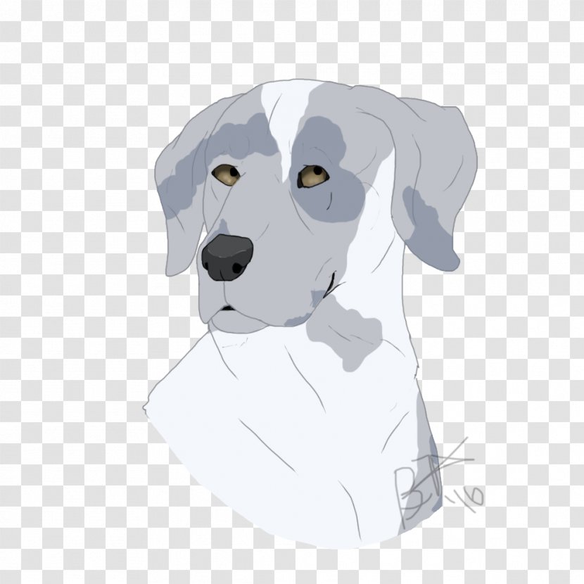 Labrador Retriever Dalmatian Dog Puppy Breed Transparent PNG