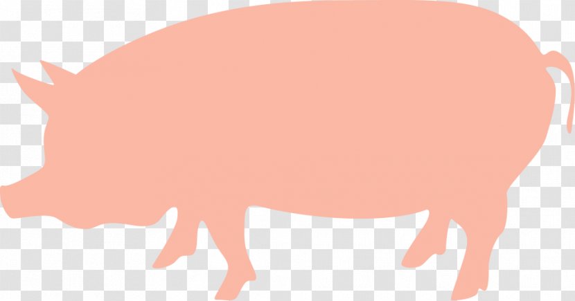 Domestic Pig Animal Natural Resource Clip Art - Tail Transparent PNG