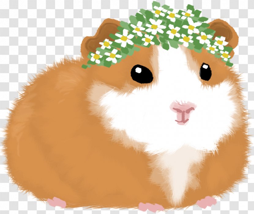 Hamster Background - Drawing - Fawn Mouse Transparent PNG