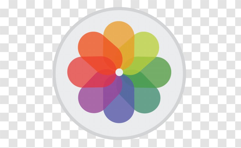 Petal Circle Flower - App Store - Preview Transparent PNG