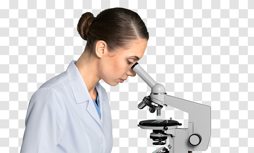 Scientist Data Research - Science Transparent PNG