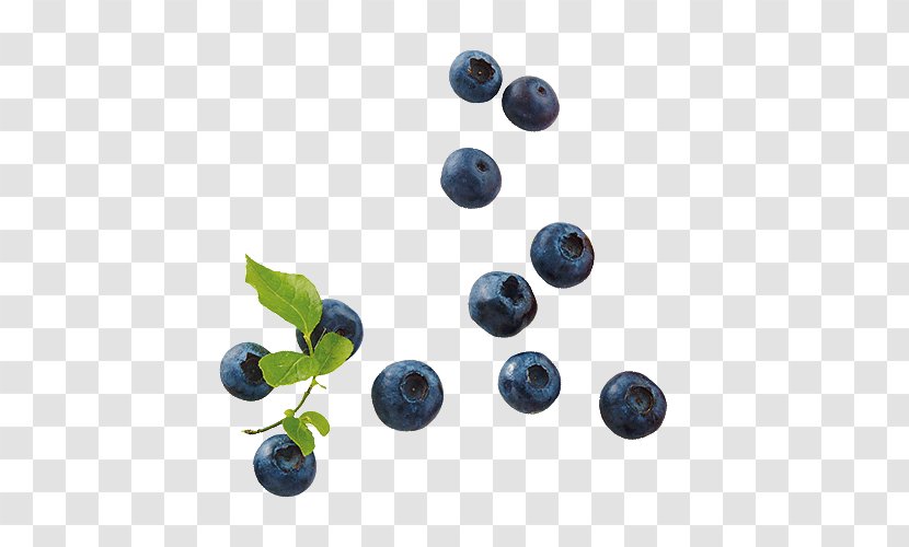 Blueberry Bilberry Huckleberry Juniper Berry Superfood - Cobalt Blue - German Breakfast Fruit Transparent PNG