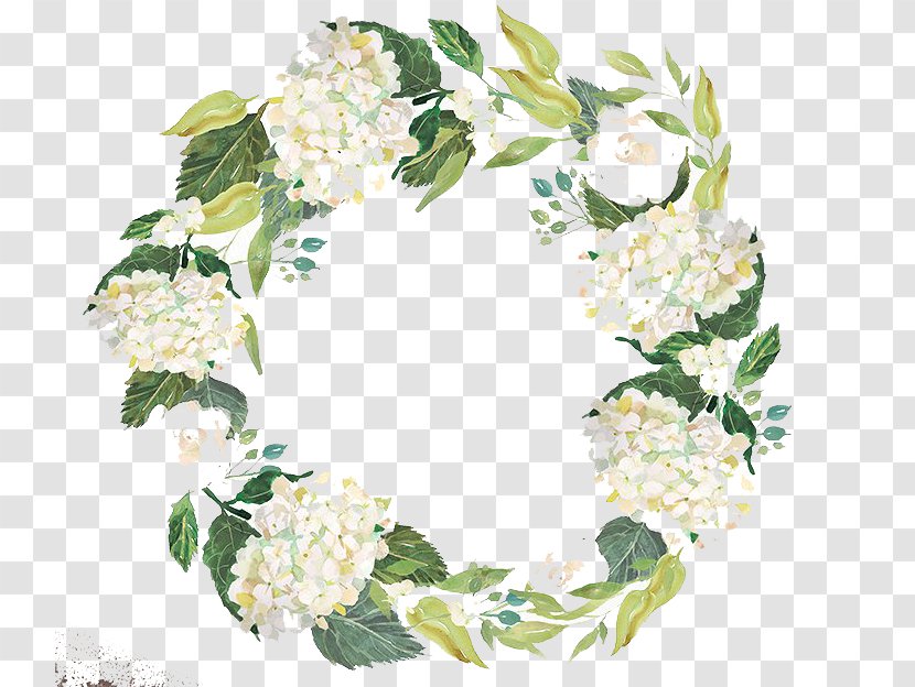 Wreath Vector Graphics Watercolor Painting Drawing - Hydrangeaceae - Flower Transparent PNG