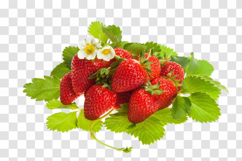 Strawberry Organic Food Fruit - Aedmaasikas Transparent PNG
