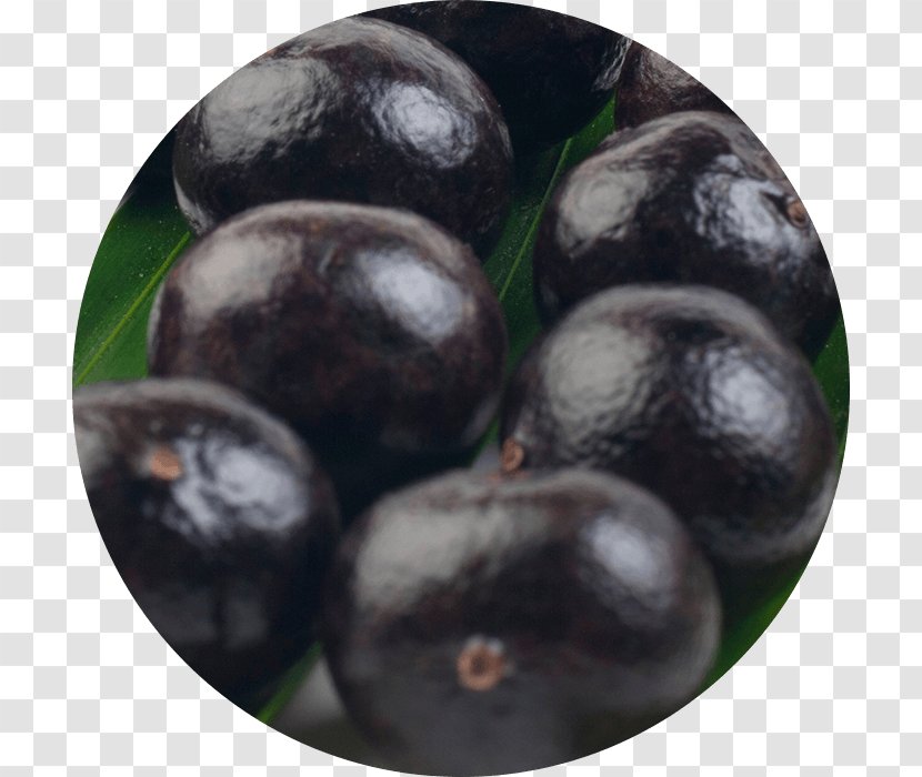 Blueberry Bilberry Superfood Superfruit Vitamin - Aronia Transparent PNG