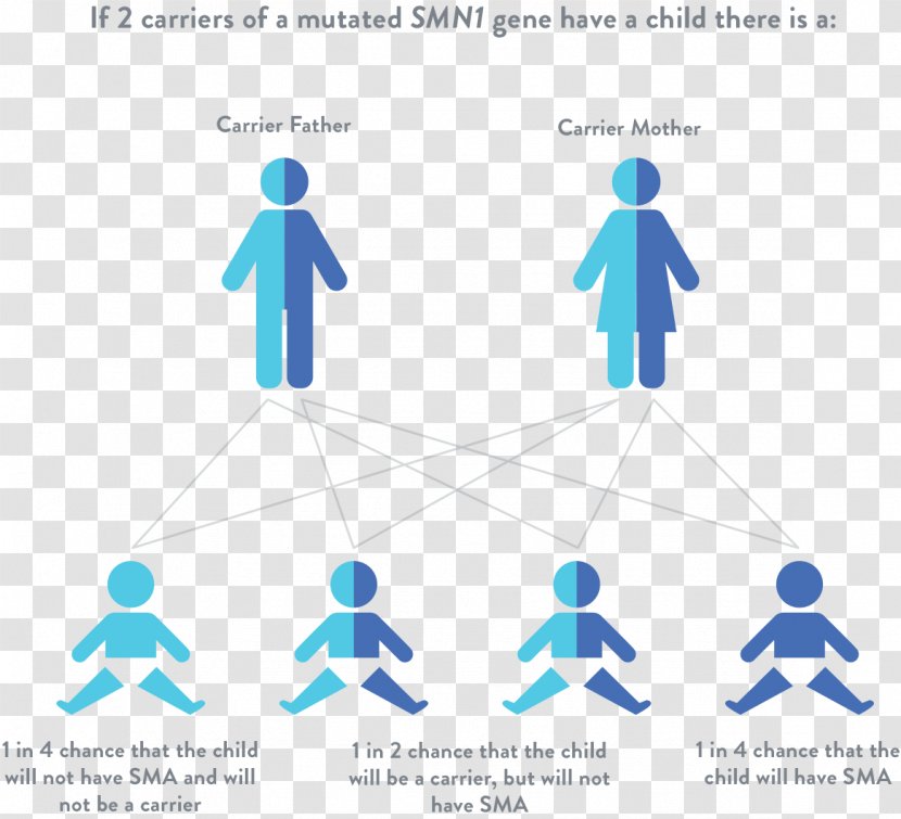 Spinal Muscular Atrophy Genetic Disorder Muscle SMN1 - Text Transparent PNG