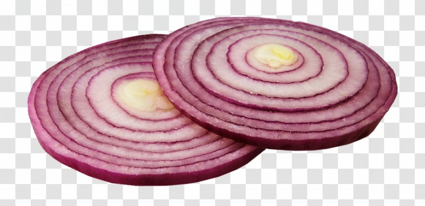 Onion Vegetable Clip Art - Food - Slice Clipart Transparent PNG