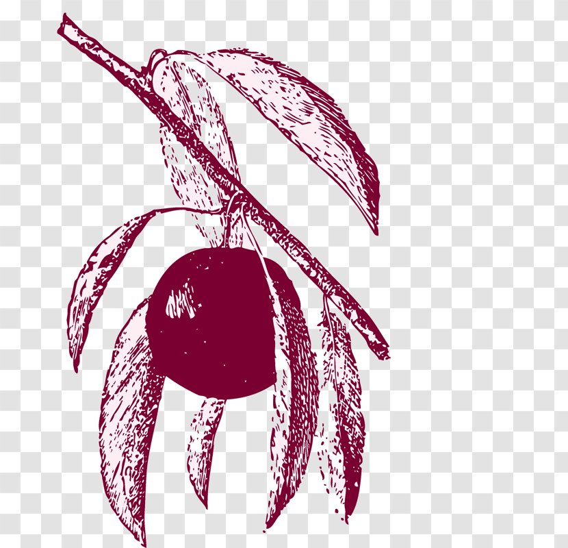 Cherry Auglis Fruit Transparent PNG