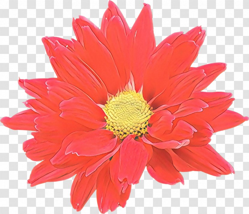 Flower Bouquet Floral Design Cut Flowers Chrysanthemum - Floristry Transparent PNG
