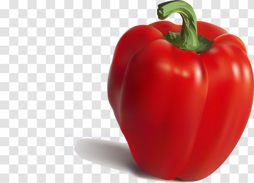 Bell Pepper Cayenne Nutrient Chili Paprika - Spice - Food Painted 3d Transparent PNG