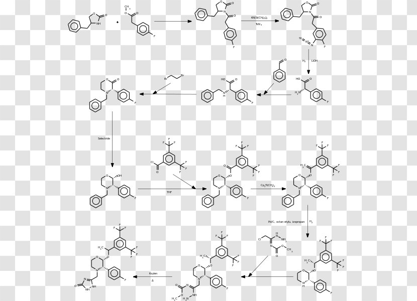 Aprepitant Chemical Synthesis Organic Chemistry CYP3A4 - Text Transparent PNG