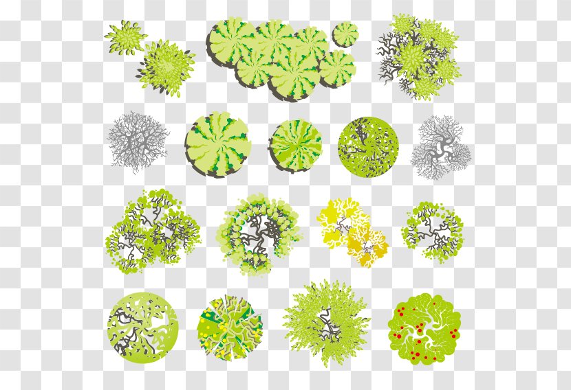 Tree Landscape Euclidean Vector Illustration - Floral Design - Plant Plan Transparent PNG