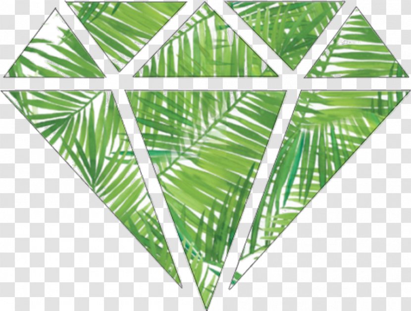 Sticker Decal Image Green Clip Art - Plant - Biodegradable Business Transparent PNG