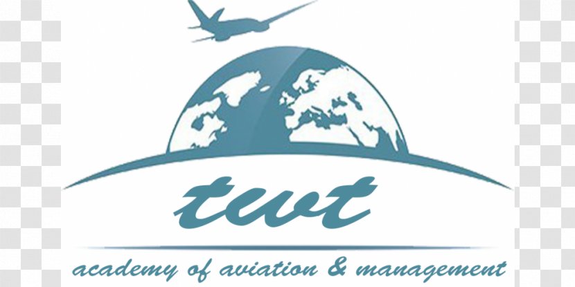 Virtual Private Network Air Travel Aircraft Logo Transport - Flight Transparent PNG