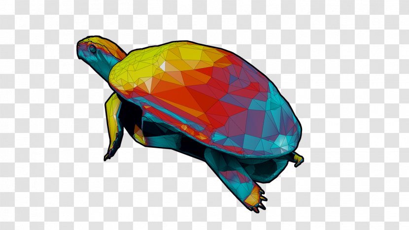 Sea Turtle Tortoise Graphics Product Design - Organism Transparent PNG