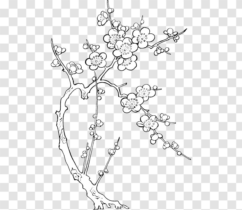 Drawing Line Art Paper Image Tattoo - Flora - Painted Picture Transparent PNG