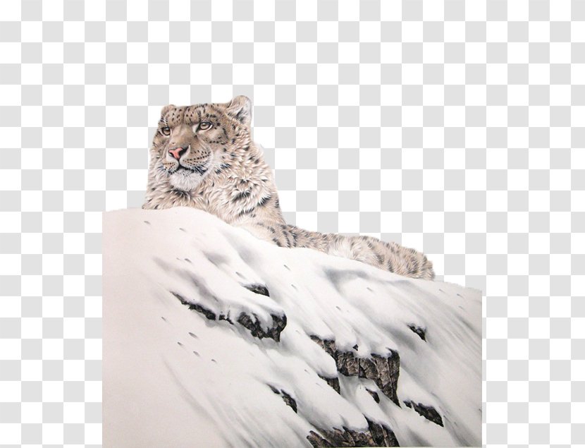 The Snow Leopard Tiger Lion - Carnivoran - Snowflakes On Lying Transparent PNG