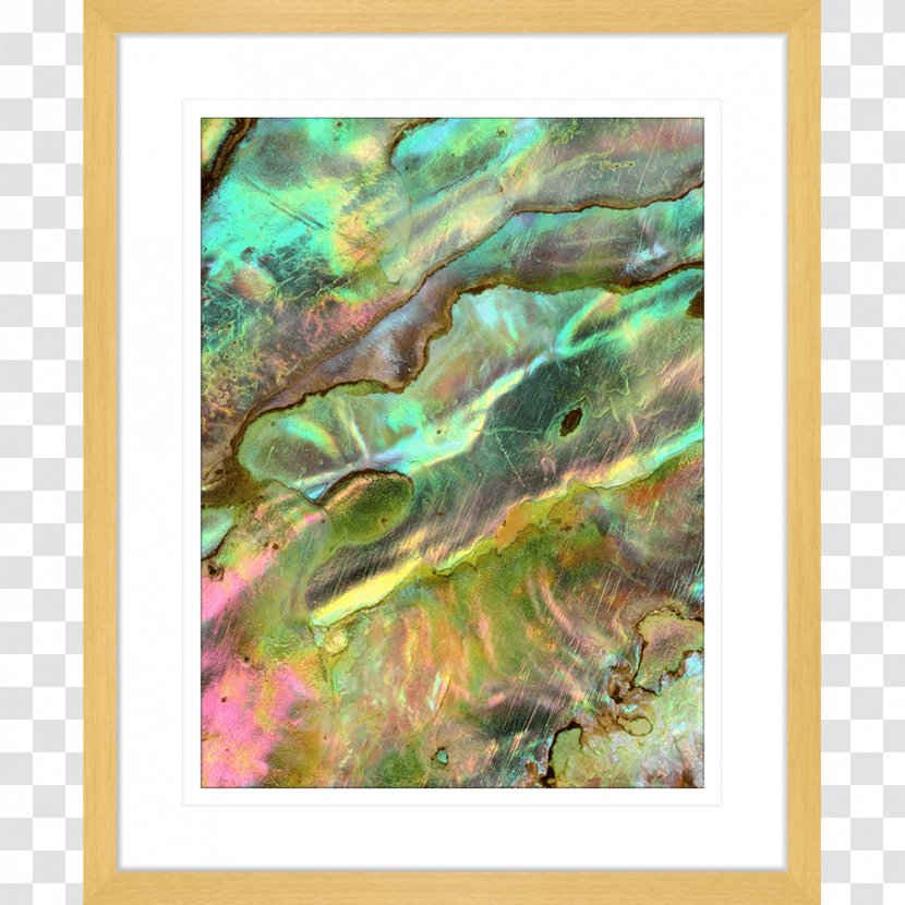 Pāua Haliotis Iris Red Abalone Nacre Seashell - Painting Transparent PNG