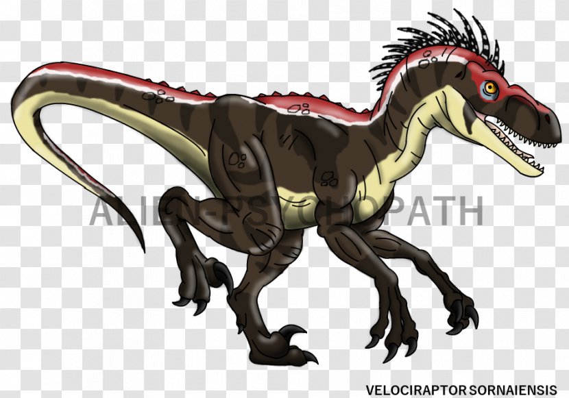 Velociraptor Tyrannosaurus Dilophosaurus Spinosaurus Utahraptor - Theropods - Dinosaur Transparent PNG
