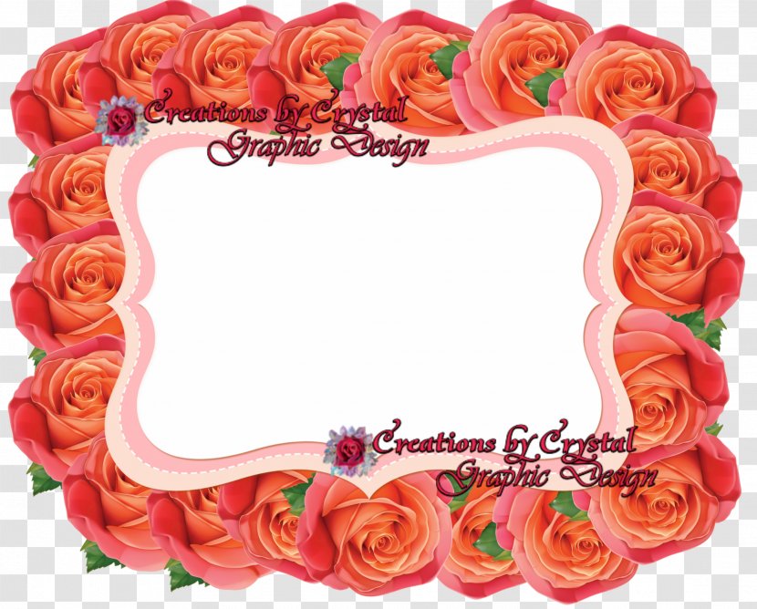 Graphic Design Graphics Garden Roses Clip Art - Floral Transparent PNG
