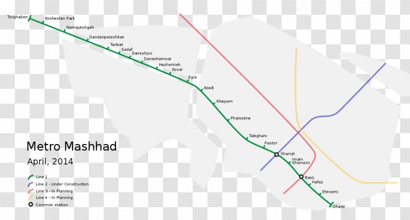 Line Map Angle - Tuberculosis Transparent PNG