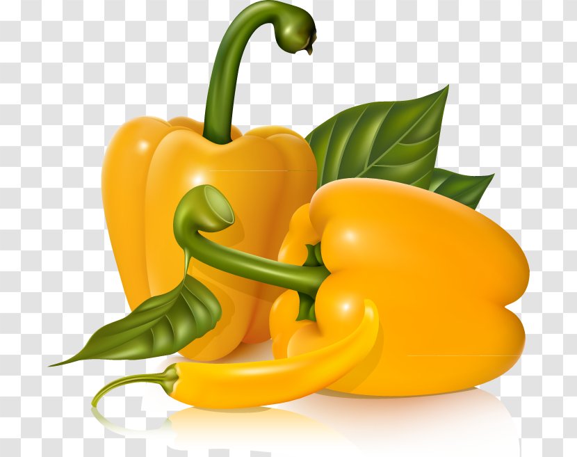 Vegetable Chili Con Carne Vegetarian Cuisine Pepper - Orange - Vector Space Law Transparent PNG