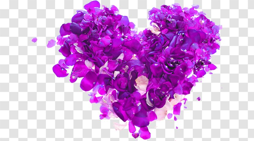 Valentines Day Beauty Parlour Spa Gift Hotel - Purple Heart Rose Element Transparent PNG