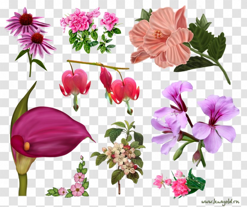 Flower Clip Art - Cut Flowers - Blumen Transparent PNG