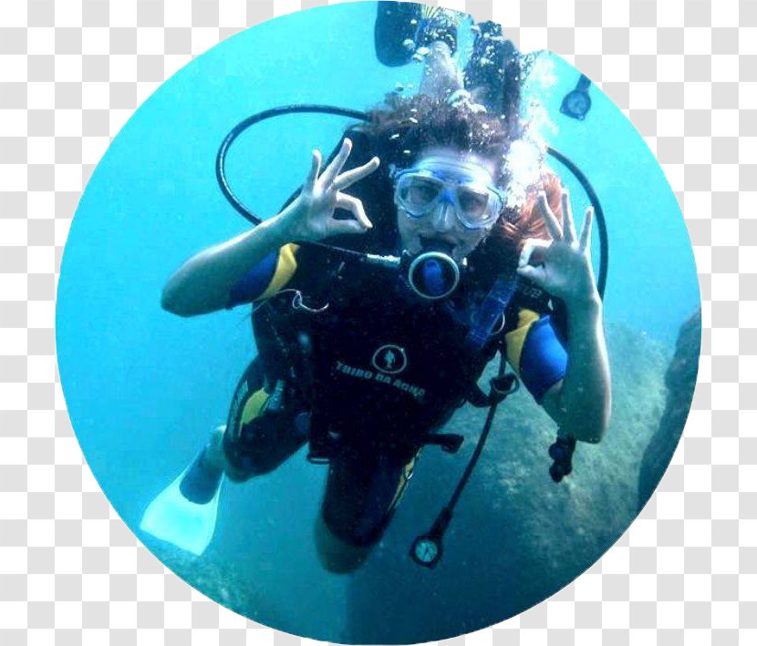 Scuba Diving Buoyancy Compensators Divemaster Underwater Tribo Da Água Escola De Mergulho - Wetsuit - Mergulhador Transparent PNG